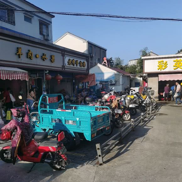 老佛爷宠物:常州市溧阳市溧城镇附近