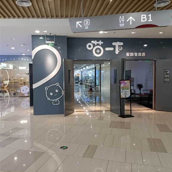喵一下(星韵宝龙广场店):苏州市吴中区木渎地区附近