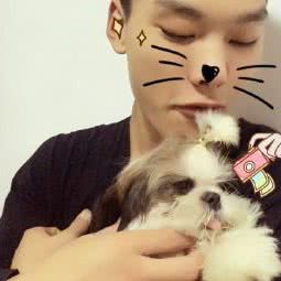 柒宝宠物工作室:苏州市吴中区木渎地区附近