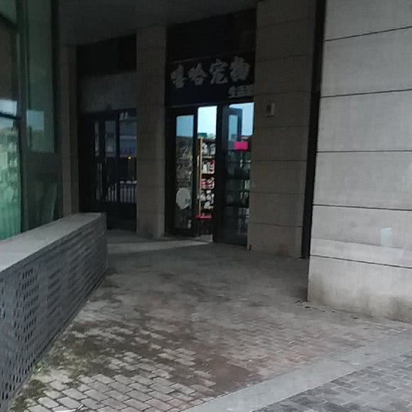 嘻哈狗狗生活馆:苏州市吴中区木渎地区附近