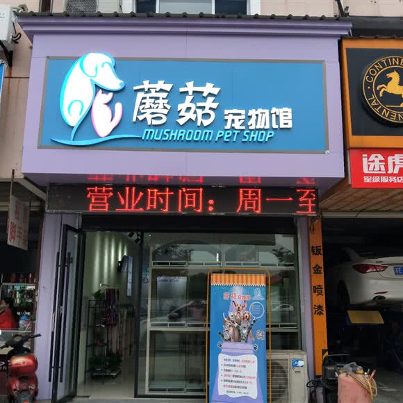 蘑菇宠物馆:苏州市吴中区木渎地区附近