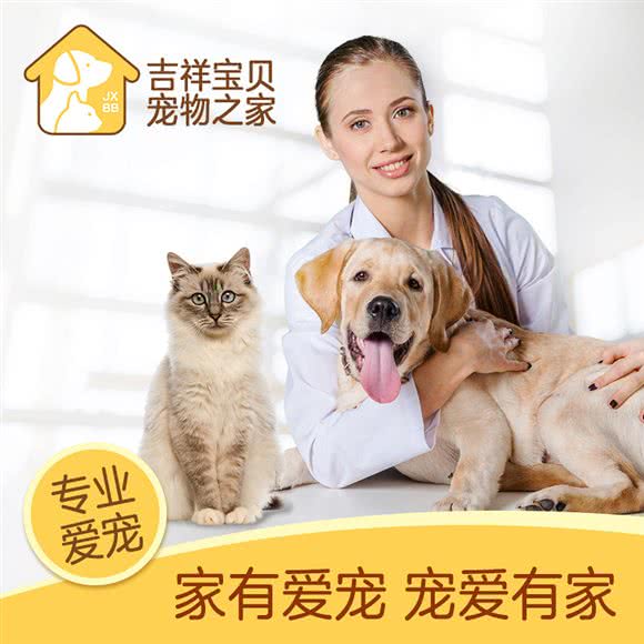 普晨菀宠物店:北京城区通州区武夷花园附近