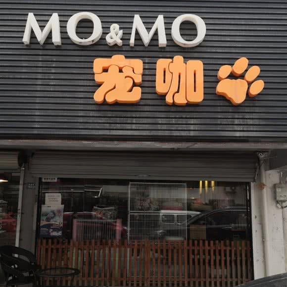 momo宠咖(先奇街店):苏州市吴中区长桥地区附近