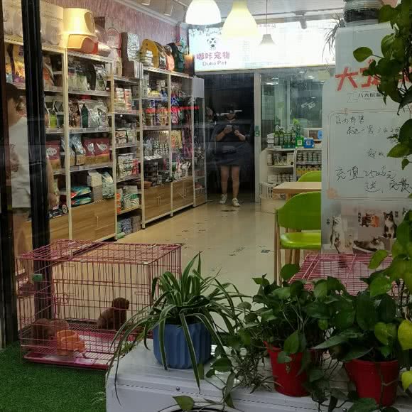 嘟咔宠物(小艾石湖东路店):苏州市吴中区长桥地区附近