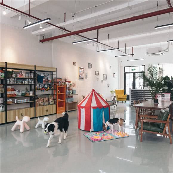 喜悦家Joytails·宠物俱乐部:苏州市吴中区长桥地区附近