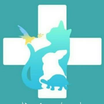 博龙动物医院(猫专科·异宠专科·24小时超声诊断中心):苏州市吴中区长桥地区附近