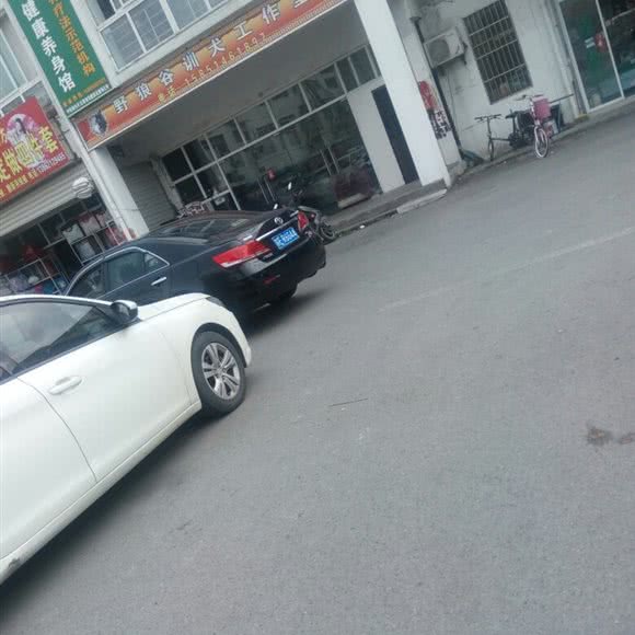 野狼谷训犬工作室:苏州市吴中区越溪/SM广场附近