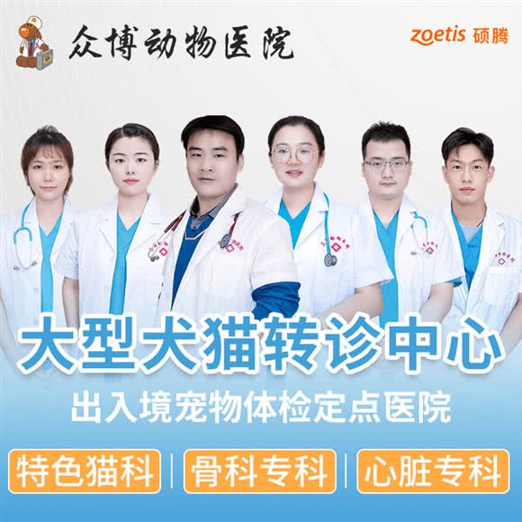 苏州众博动物医院·转诊中心·特色猫科·骨科中心(吴中店):苏州市吴中区越溪/SM广场附近