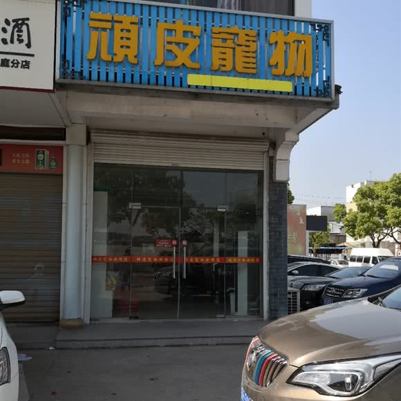 顽皮宠物:苏州市吴中区太湖西山附近