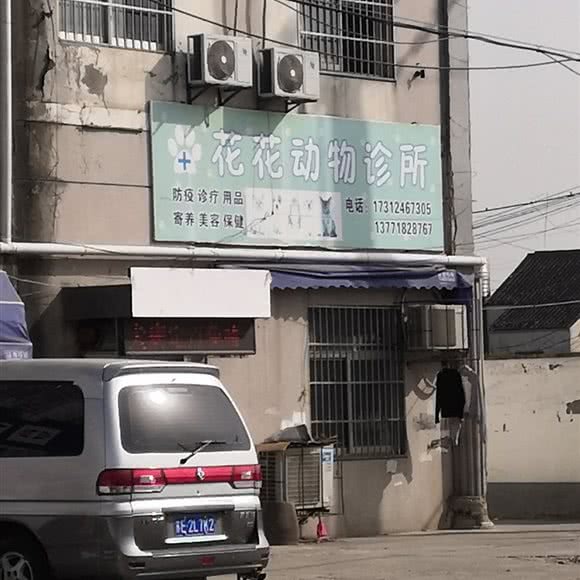 花花动物诊所:苏州市吴中区郭巷镇附近
