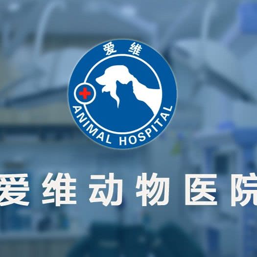 爱维动物医院(北关店):北京城区通州区物资学院附近