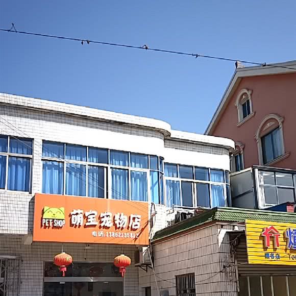 萌宝宠物店:苏州市吴中区藏书镇附近