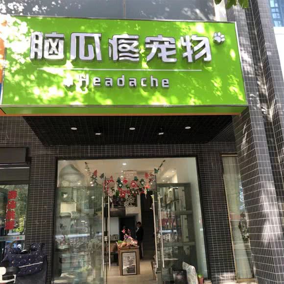 脑瓜疼宠物:苏州市相城区繁花中心附近