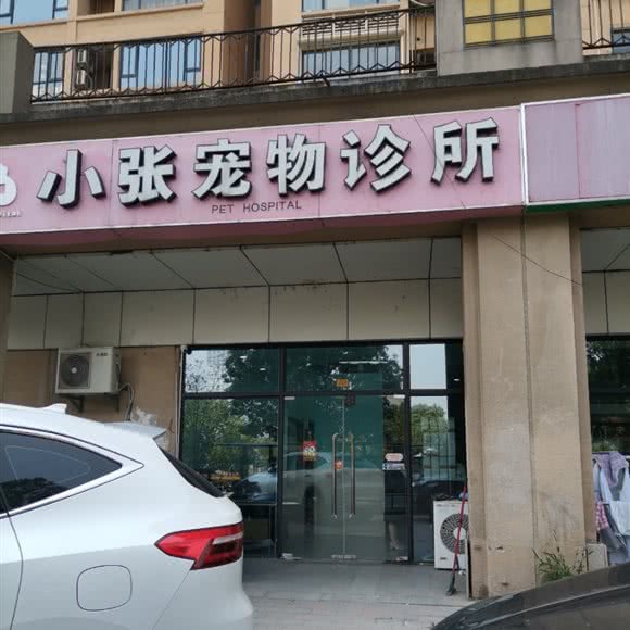 小张宠物诊所(沈思港路店):苏州市相城区繁花中心附近