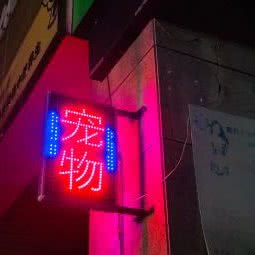 爱尚宠物生活馆:苏州市相城区陆慕元和附近