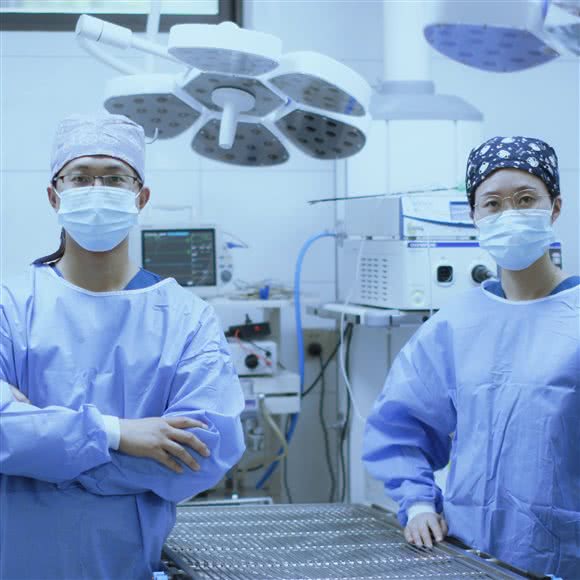 叮当宠物诊所(嘉元路店):苏州市相城区陆慕元和附近