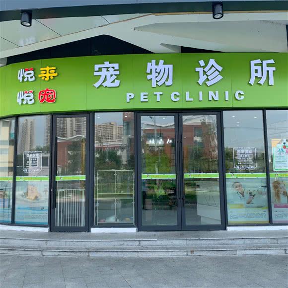 悦来悦宠宠物诊所:苏州市相城区陆慕元和附近