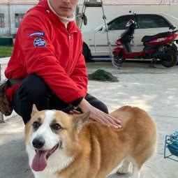 全国连锁孙亮宠物寄养训练培训学校 苏州总校:苏州市相城区阳澄湖旅游度假区附近