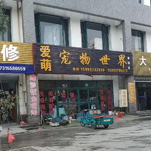 爱萌·宠物世界:苏州市相城区阳澄湖旅游度假区附近