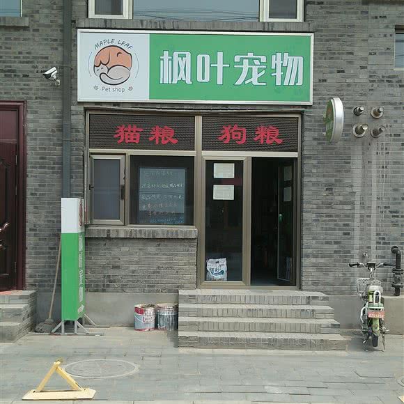 枫叶宠物:北京城区通州区宋庄附近