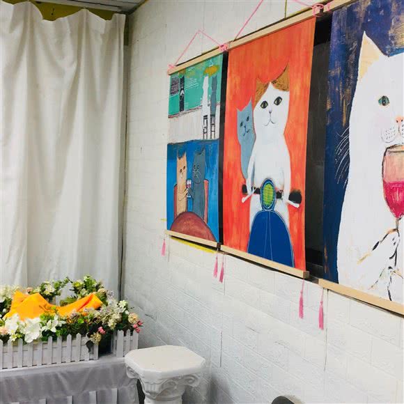 安宠宠物善后火化服务:苏州市相城区蠡口家具城附近