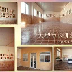 小玉宠物养殖中心:北京城区通州区宋庄附近