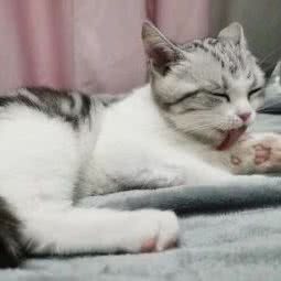 爱妮宠物诊所(渭中路店):苏州市相城区渭塘镇附近