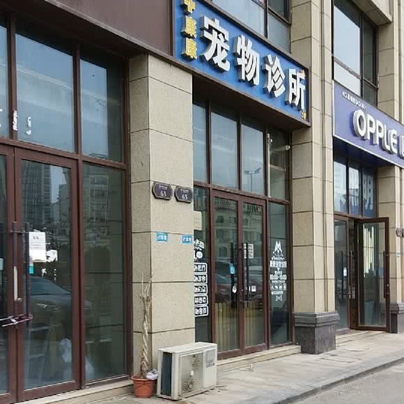 康康宠物诊所:苏州市相城区太平镇附近