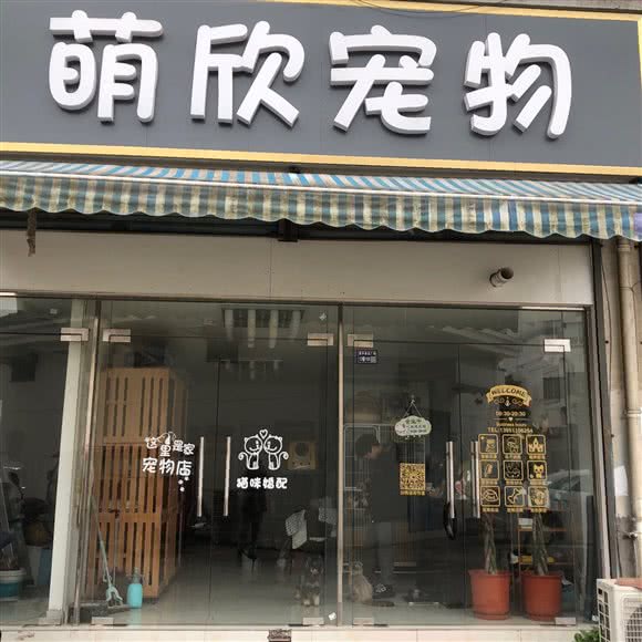萌欣宠物·凤姐训犬:苏州市相城区望亭镇附近