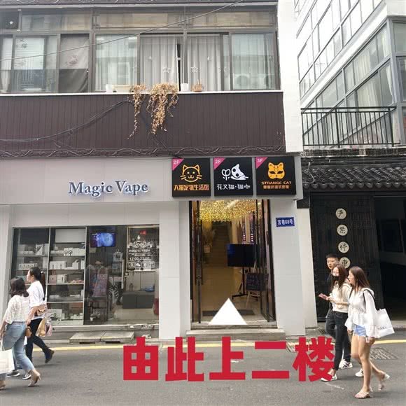 花又猫·猫咖·猫舍·猫咪专售(观前店):苏州市姑苏区观前街地区附近
