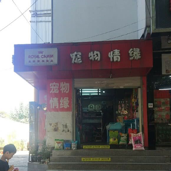 宠物情缘:苏州市姑苏区观前街地区附近