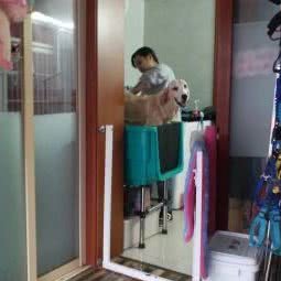 DM宠物:苏州市姑苏区观前街地区附近