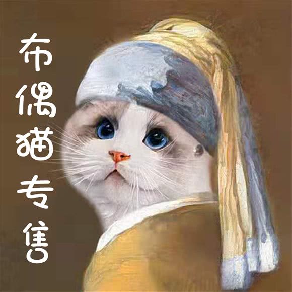 B-coffedoll布偶猫舍·撸猫馆·猫咖:苏州市姑苏区观前街地区附近