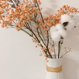 宠物公园(天虹百货店):苏州市姑苏区石路地区附近