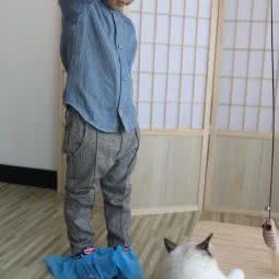 喜萌猫馆:苏州市姑苏区石路地区附近