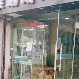 莱纳斯宠物:苏州市姑苏区平江路附近