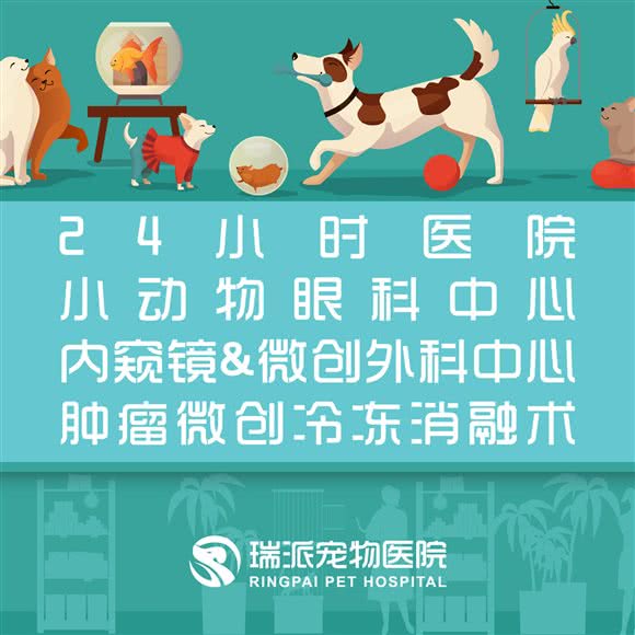瑞派宠物医院(曹浪峰白塔店):苏州市姑苏区平江路附近
