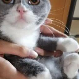 派多格宠物(南园北路店):苏州市姑苏区南门附近