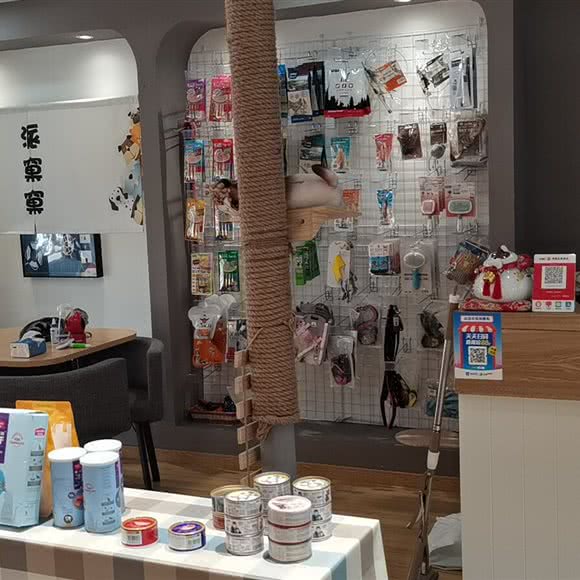 派窠窠宠物生活馆:苏州市姑苏区拙政园附近