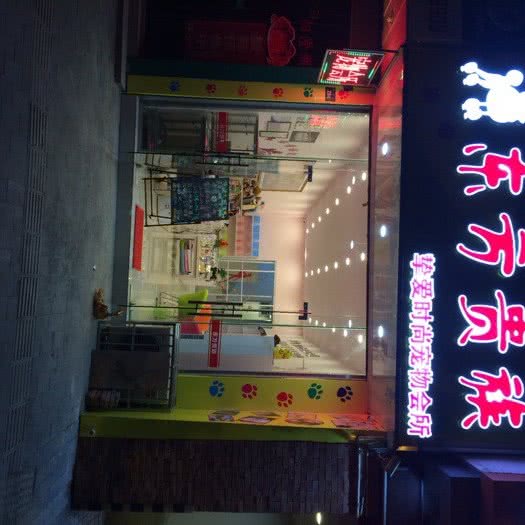 东方贵族宠物店:苏州市姑苏区盘门附近