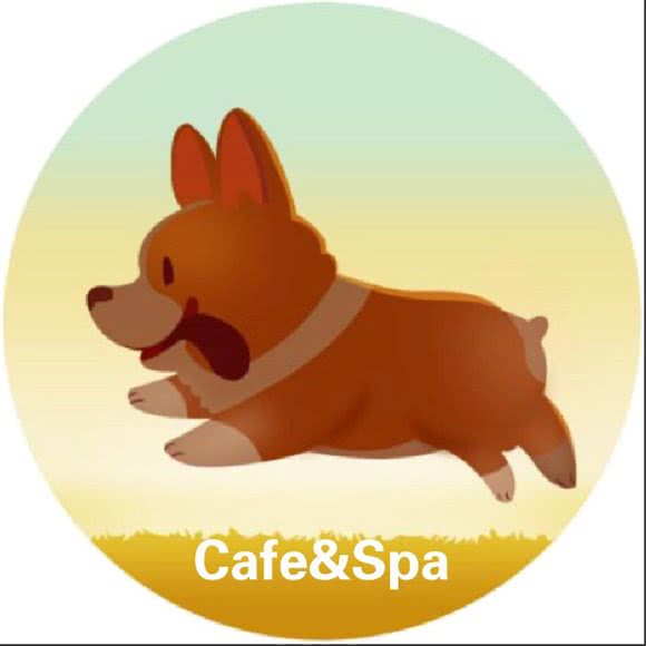 吉吉宠物 SPA:苏州市姑苏区盘门附近