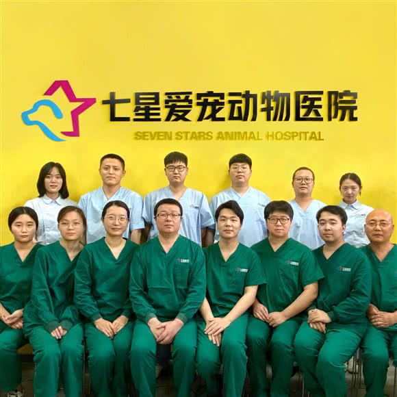 七星爱宠动物医院(通州总院):北京城区通州区宋庄附近