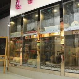 乐宠宠物会所:苏州市姑苏区留园/来客茂生活广场附近