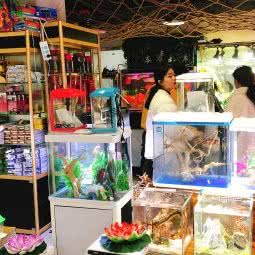 本草缸木:苏州市姑苏区景德路沿线附近