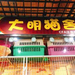 大明猫舍:苏州市姑苏区景德路沿线附近