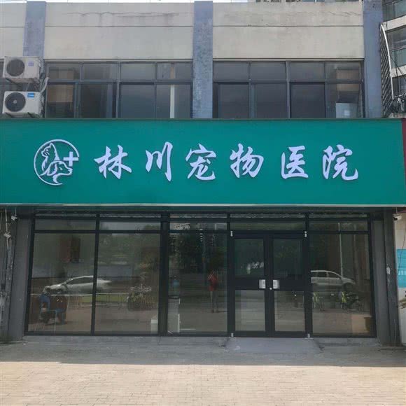 林川宠物医院(劳动路店):苏州市姑苏区三香路沿线附近