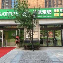 圣宠狗狗:北京城区通州区马驹桥附近