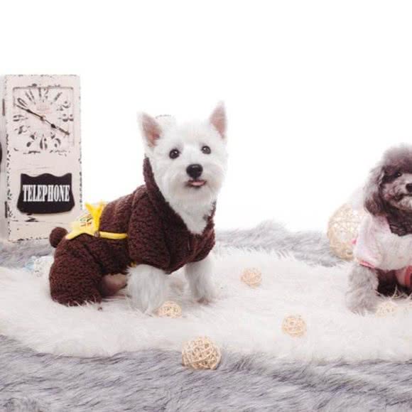 泰迪熊宠物乐园(阊胥路店):苏州市姑苏区阊胥路沿线附近