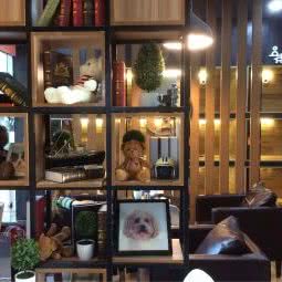 宠宠熊宠物美容(沧浪店):苏州市姑苏区亿象城/世茂附近