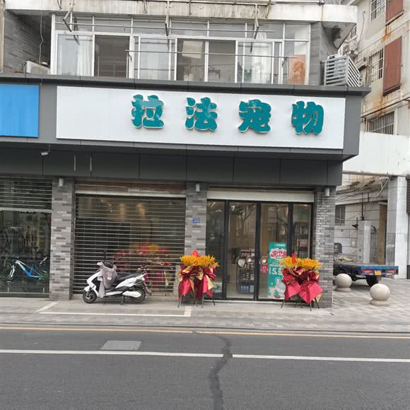 拉法宠物:苏州市吴江区太湖新城镇附近